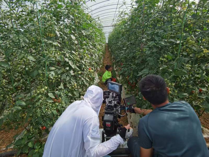 历下区产品宣传视频拍摄公司进阶指南，助力品牌抢占传播高地